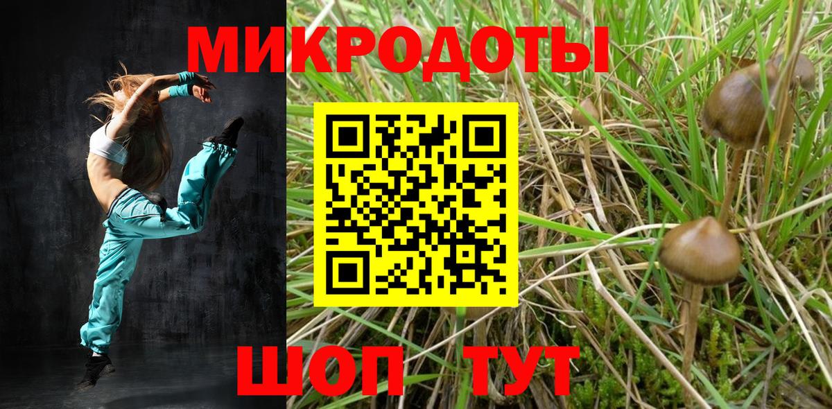 Псилоцибиновые грибы прущие грибы Мелеуз